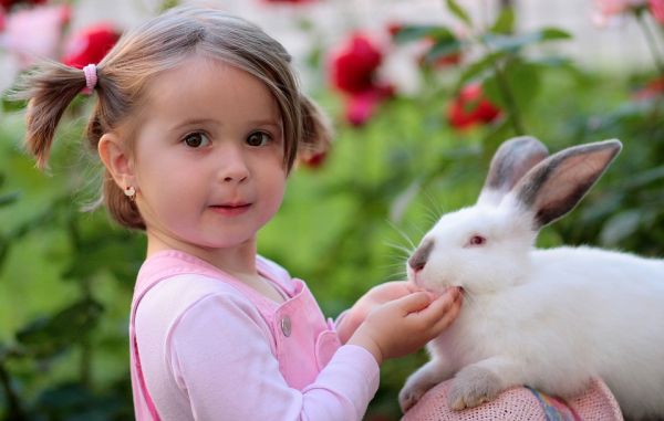 Rabbit with child pixabay